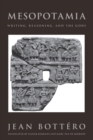 Image for Mesopotamia : Writing, Reasoning, and the Gods