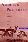 Image for American Pronghorn : Social Adaptations and the Ghosts of Predators Past