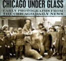 Image for Chicago under glass  : early photographs from the Chicago Daily News