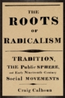Image for The roots of radicalism  : tradition, the public sphere, and early nineteenth-century social movements