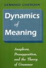Image for Dynamics of Meaning: Anaphora, Presupposition, and the Theory of Grammar