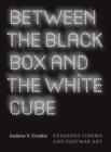 Image for Between the black box and the white cube: expanded cinema and postwar art