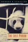 Image for The last panda