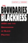Image for The Boundaries of Blackness - AIDS and the Breakdown of Black Politics