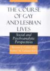 Image for The Course of Gay and Lesbian Lives