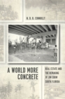 Image for A world more concrete  : real estate and the remaking of Jim Crow South Florida