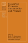 Image for Measuring Economic Sustainability and Progress