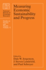 Image for Measuring economic sustainability and progress
