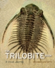 Image for The trilobite book: a visual journey