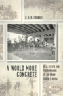 Image for A world more concrete: real estate and the remaking of Jim Crow South Florida : 114