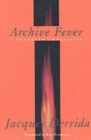 Image for Archive fever  : a Freudian impression