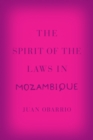 Image for The spirit of the laws in Mozambique
