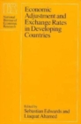 Image for Economic Adjustment and Exchange Rates in Developing Countries