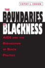 Image for The boundaries of blackness: AIDS and the breakdown of black politics