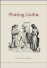 Image for Plotting Gothic