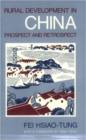 Image for Rural Development in China : Prospect and Retrospect