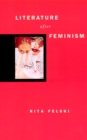 Image for Literature after Feminism