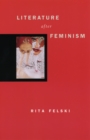 Image for Literature after feminism