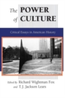 Image for The Power of culture  : critical essays in American history