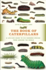 Image for The Book of Caterpillars : A Life-Size Guide to Six Hundred Species from Around the World