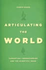 Image for Articulating the World: Conceptual Understanding and the Scientific Image : 55423