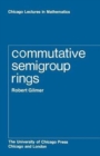 Image for Commutative Semigroup Rings