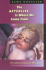 Image for The afterlife is where we come from  : the culture of infancy in West Africa
