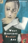 Image for What emotions really are  : the problem of psychological categories