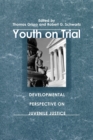 Image for Youth on Trial : A Developmental Perspective on Juvenile Justice