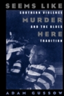 Image for Seems like murder here  : Southern violence and the blues tradition