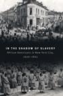 Image for In the shadow of slavery: African Americans in New York City, 1626-1863