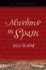 Image for Muslims in Spain, 1500 to 1614