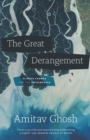 Image for The Great Derangement: Climate Change and the Unthinkable