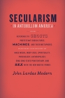 Image for Secularism in Antebellum America