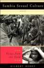 Image for Sambia sexual culture  : essays from the field
