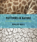 Image for Patterns in nature  : why the natural world looks the way it does