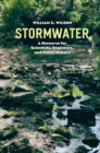 Image for Stormwater: a resource for scientists, engineers, and policy makers