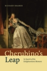 Image for Cherubino&#39;s leap  : in search of the enlightenment moment