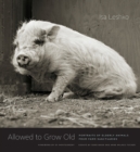 Image for Allowed to grow old  : portraits of elderly animals from farm sanctuaries