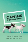 Image for Canine confidential  : why dogs do what they do