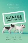 Image for Canine confidential: why dogs do what they do