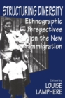 Image for Structuring Diversity : Ethnographic Perspectives on the New Immigration