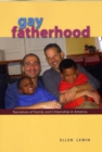 Image for Gay fatherhood  : narratives of family and citizenship in America
