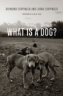 Image for What is a dog?