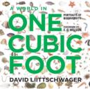 Image for A World in One Cubic Foot