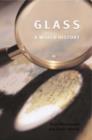 Image for Glass : A World History