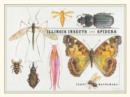Image for Illinois Insects and Spiders