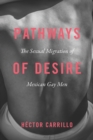 Image for Pathways of desire  : the sexual migration of Mexican gay men