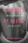 Image for Pathways of desire: the sexual migration of Mexican gay men