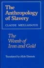 Image for The Anthropology of Slavery : The Womb of Iron and Gold